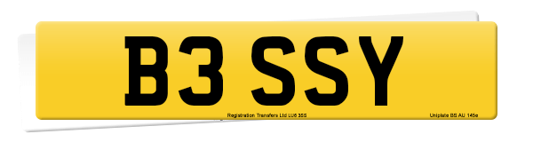 Registration number B3 SSY